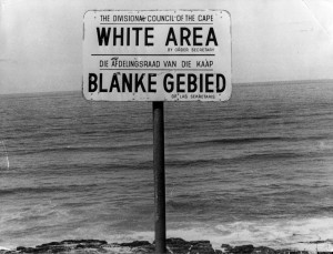 White Area