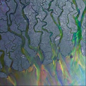 AltJ - An Awesome Wave cover