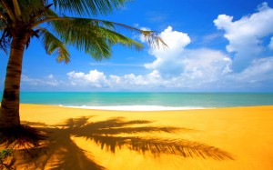 plage-tropicale