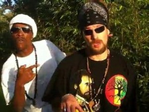 positiv young lion 2