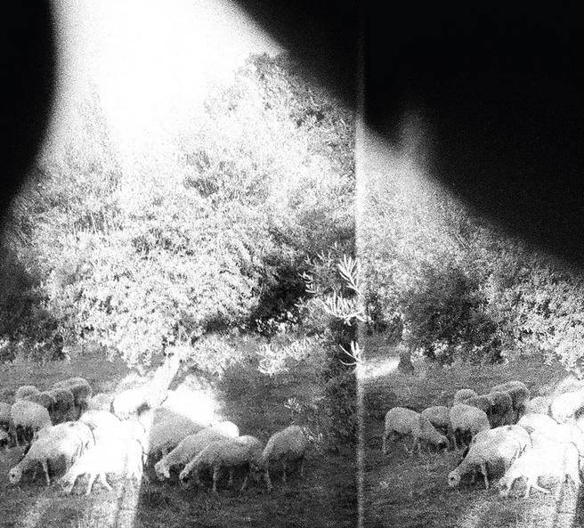GODSPEED YOU ! BLACK EMPEROR annonce un nouvel album. Extrait