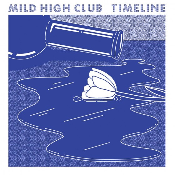 Doux et aérien, Mild High Club nous présente son premier album